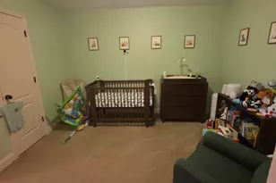 1442 Dillard Heights Dr, Bethlehem, GA 30620 - Photo 21