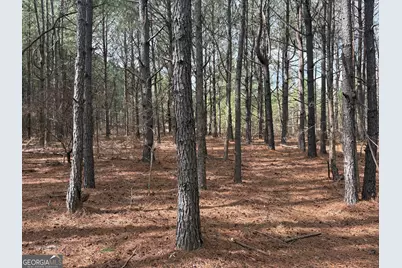 L2&amp;3 Keysville-Boggs Academy Road, Keysville, GA 30816 - Photo 3