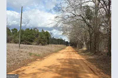 L2 Keysville-Boggs Academy Road, Keysville, GA 30816 - Photo 3
