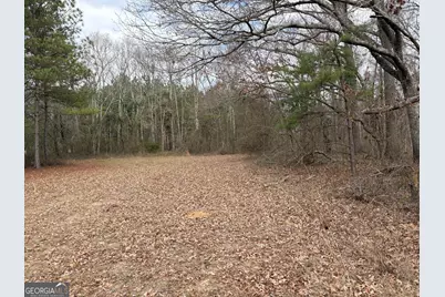 L8 Quaker Road, Keysville, GA 30816 - Photo 3