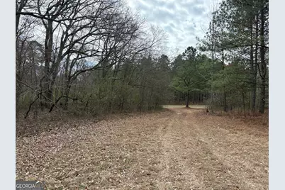 L8 Quaker Road, Keysville, GA 30816 - Photo 1
