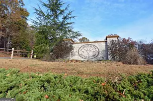 709 Lyric Ln, Ellijay, GA 30540 - Photo 47