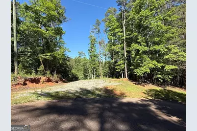 0 Limber Lost Trail, Cleveland, GA 30528 - Photo 3