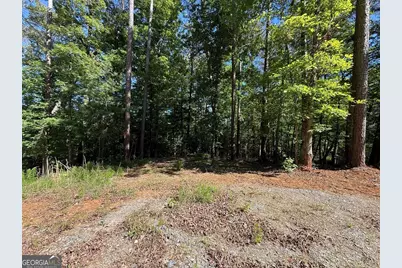 0 Limber Lost Trail, Cleveland, GA 30528 - Photo 5