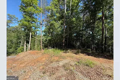 0 Limber Lost Trail, Cleveland, GA 30528 - Photo 21