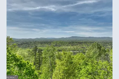138.06Ac N Highway 515, Ellijay, GA 30540 - Photo 17