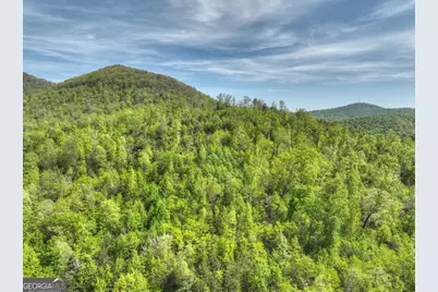 138.06Ac N Highway 515, Ellijay, GA 30540 - Photo 25