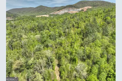 138.06Ac N Highway 515, Ellijay, GA 30540 - Photo 15