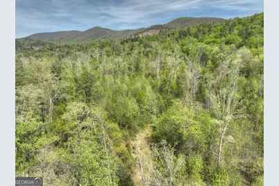 138.06Ac N Highway 515, Ellijay, GA 30540 - Photo 9