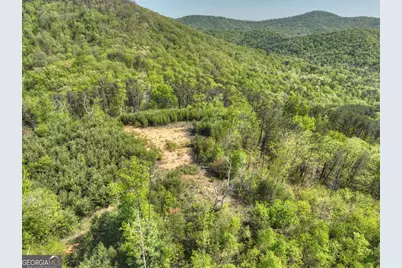 138.06Ac N Highway 515, Ellijay, GA 30540 - Photo 27