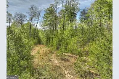 138.06Ac N Highway 515, Ellijay, GA 30540 - Photo 11