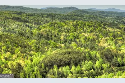 138.06Ac N Highway 515, Ellijay, GA 30540 - Photo 19