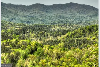 138.06Ac N Highway 515, Ellijay, GA 30540 - Photo 21