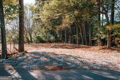 Tract 56 Lakeview Drive, Winterville, GA 30683 - Photo 21