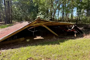 769 Mt Olive Church Rd, Eastman, GA 31023 - Photo 65