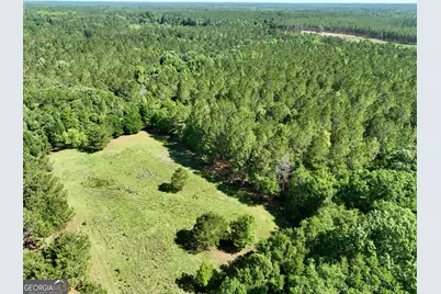 769 Mount Olive Church Road, Eastman, GA 31023 - Photo 3