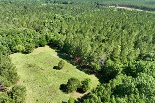 769 Mt Olive Church Rd, Eastman, GA 31023 - Photo 3