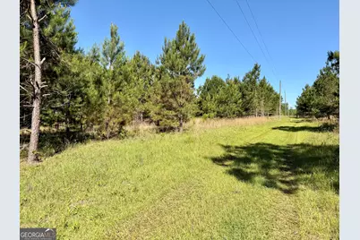 769 Mount Olive Church Road, Eastman, GA 31023 - Photo 67