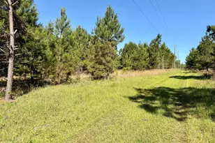769 Mt Olive Church Rd, Eastman, GA 31023 - Photo 67