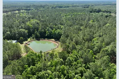 769 Mount Olive Church Road, Eastman, GA 31023 - Photo 25