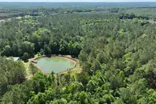 769 Mt Olive Church Rd, Eastman, GA 31023 - Photo 25