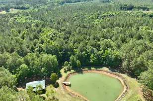 769 Mt Olive Church Rd, Eastman, GA 31023 - Photo 17