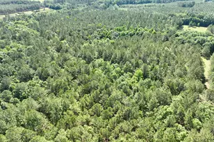 769 Mt Olive Church Rd, Eastman, GA 31023 - Photo 11
