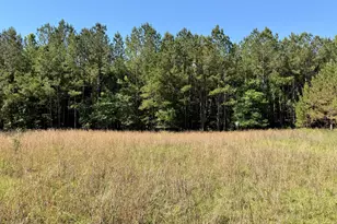769 Mt Olive Church Rd, Eastman, GA 31023 - Photo 7