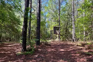 769 Mt Olive Church Rd, Eastman, GA 31023 - Photo 13
