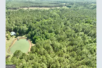 769 Mount Olive Church Road, Eastman, GA 31023 - Photo 23