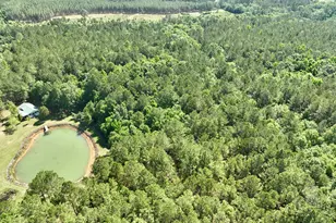 769 Mt Olive Church Rd, Eastman, GA 31023 - Photo 23