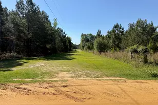 769 Mt Olive Church Rd, Eastman, GA 31023 - Photo 27