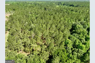 769 Mount Olive Church Road, Eastman, GA 31023 - Photo 21