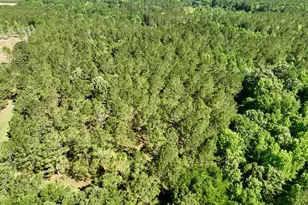769 Mt Olive Church Rd, Eastman, GA 31023 - Photo 21