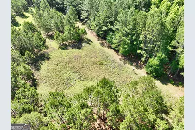 769 Mount Olive Church Road, Eastman, GA 31023 - Photo 5