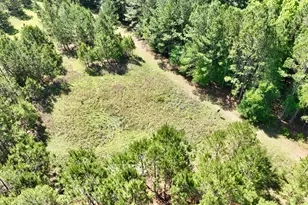 769 Mt Olive Church Rd, Eastman, GA 31023 - Photo 5