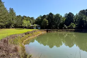 769 Mt Olive Church Rd, Eastman, GA 31023 - Photo 29