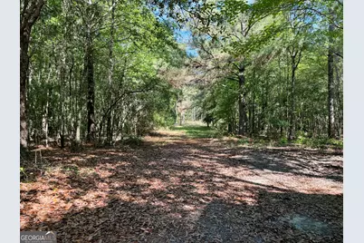 769 Mount Olive Church Road, Eastman, GA 31023 - Photo 63