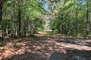 769 Mt Olive Church Rd, Eastman, GA 31023 - Photo 63