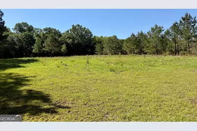 769 Mount Olive Church Road, Eastman, GA 31023 - Photo 9