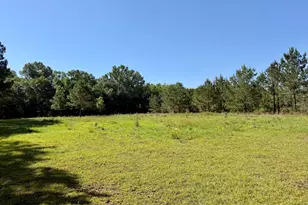 769 Mt Olive Church Rd, Eastman, GA 31023 - Photo 9