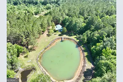769 Mount Olive Church Road, Eastman, GA 31023 - Photo 1