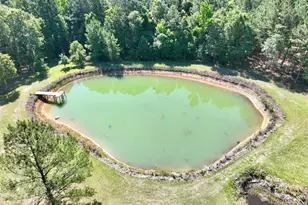 769 Mt Olive Church Rd, Eastman, GA 31023 - Photo 15