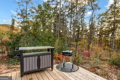 115 Raleigh Ridge Drive, Blue Ridge, GA 30513 - Photo 17