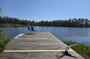300 Hammond Powell Rd, Hazlehurst, GA 31539 - Photo 21