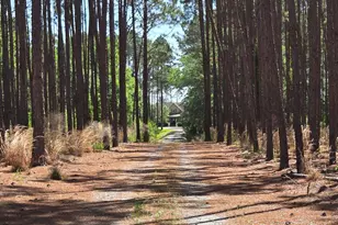 300 Hammond Powell Rd, Hazlehurst, GA 31539 - Photo 91
