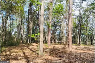0 W Black Island Road SE, Darien, GA 31305 - Photo 1