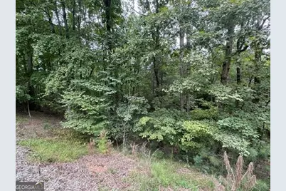 266 Myna Drive, Ellijay, GA 30540 - Photo 7