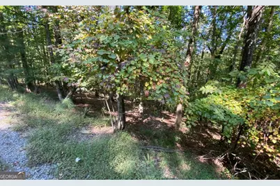 266 Myna Drive, Ellijay, GA 30540 - Photo 1