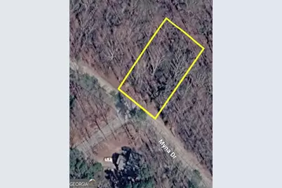 254 Myna Drive, Ellijay, GA 30540 - Photo 13